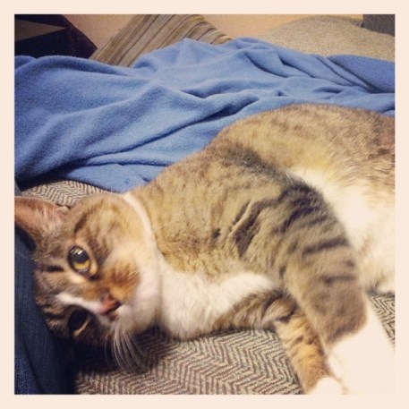 1497730_10152451638124196_1167704056_n-1